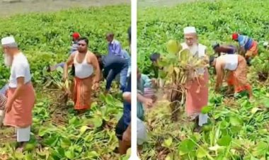 কেশবপুরে নিজহাতে কচুরিপানা অপসারণ  করলেন এমপি মোক্তার আলী