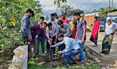 গাজীপুর জেলা রিপোর্টার্স ফোরামের উদ্যোগে শ্রীপুরে বৃক্ষরোপণ কর্মসূচি অনষ্ঠিত