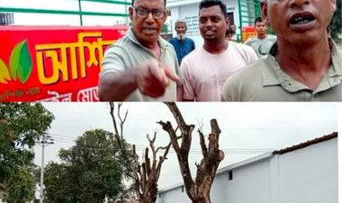 নওগাঁর মহাদেবপুর উপজেলা ধুনজইল মোড়ে সরকারি গাছের মাথা কেটে ফেলার ও ফুটেজ মুছে দেওয়ার অভিযোগ