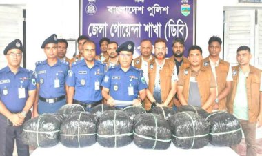 নওগাঁ গোয়েন্দা পুলিশের মাদকবিরোধী  অভিযানে সারে ৪২ কেজি গাঁজাসহ রুবেল গ্রফতার