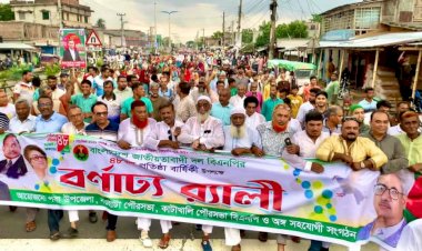 দেশের মানুষের ভাগ্য পরিবর্তনে কাজ করছেন তারেক রহমান: এমপি মিলন