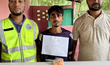 নড়াইলে ইয়াবা ট্যাবলেট সহ একজন গ্রেপ্তার