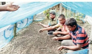 সাগরদাঁড়ীতে এক আনসার কমান্ডার তৈরি  করছেন জৈব সার, কীটনাশক ও ছত্রাকনাশক