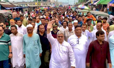 স্থানীয় সরকার নির্বাচন হবে দলীয় প্রতীক ছাড়া: এমপি মিলন
