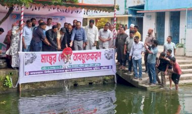 বুড়িচংয়ে ৩৩০ কেজি কার্পজাতীয় মাছের পোনা অবমুক্ত