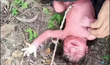 বরগুনার বামনায় প্লাস্টিকের ব্যাগে সদ্যোজাত কন্যাশিশু, জীবিত উদ্ধার ঝোপের পাশে ব্যাগে পড়ে ছিল নবজাতক; স্থানীয়দের তৎপরতায় প্রাণে বাঁচল শিশুটি