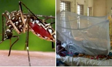 কেশবপুরে ১২২ জন ডেঙ্গুতে আক্রান্ত নেই মশা নিধণের কার্যক্রম