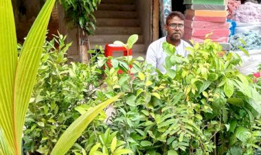 ফুটপাতে সবুজের ফেরিওয়ালা শরীফ , দশ বছর ধরে বিক্রয় করেন ফল-ফুলের চারা