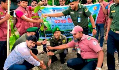 পাবনার চাটমোহরে আনসার ভিডিপি'র বৃক্ষ রোপণ কর্মসূচি