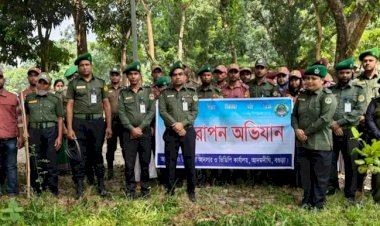 বগুড়ায় আনসার ও ভিডিপি'র বৃক্ষরোপণ কর্মসূচি অনুষ্ঠিত