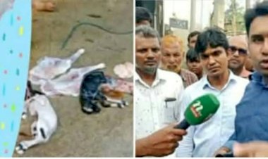 কেশবপুর বড় বাজারে গর্ভবতী ছাগল জবাই, কসাইয়ের বিরুদ্ধে ব্যবস্থা নেওয়ার দাবি