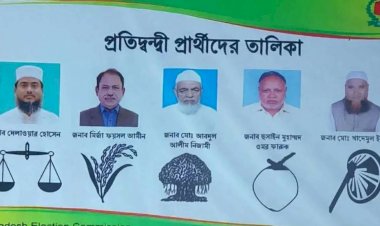 ঠাকুরগাঁও-১ উপনির্বাচন: প্রতীক পেলেন ৫ প্রার্থী, প্রচারণা শুরু
