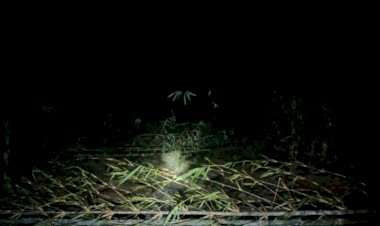 বড় অংকের চাঁদা দাবির কারনে জনগণের চলাচলের রাস্তার কাজ বন্ধ