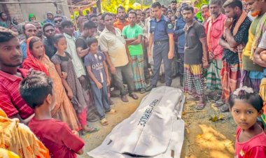 নওগাঁর ধামইরহাটে বাঁশঝাড় থেকে হালিমা বেগম নামে এক নারীর মরদেহ উদ্ধার