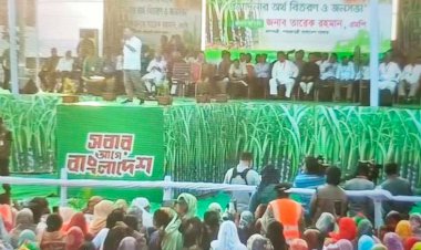 রাজশাহীতে আখচাষীদের ১২ কোটি টাকা প্রণোদনা