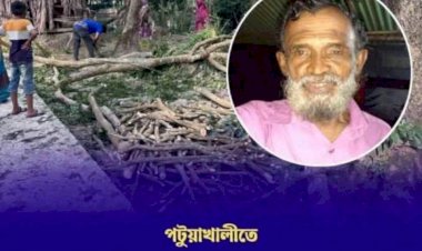 পটুয়াখালীর বাউফলে গাছের ডাল কাটার সময় তা মাথায় পড়ে মোসলেম উদ্দিন হাওলাদার (৬৫) নামে এক বিএনপি নেতার মৃত্যু হয়েছে