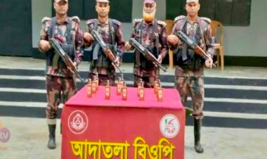 নওগাঁর সাপাহার সীমান্তে মালিকবিহীন অবস্থায় ১২ বোতল ভারতীয় মদ জব্দ করেছেন বিজিবি