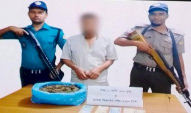 রাজশাহীতে গাঁজা সহ গ্রেপ্তার ১ জন