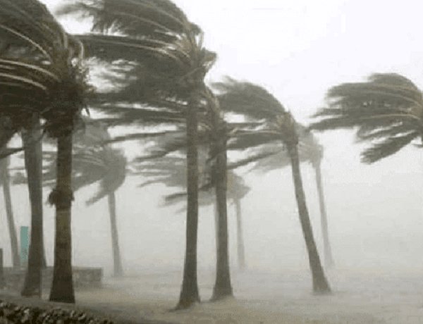 হঠাৎ ঝড়ে ব্যপক ক্ষয়ক্ষতি