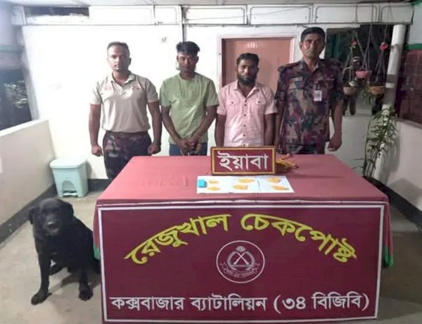নাইক্ষ্যংছড়ি সীমান্তে ডগস্কোয়াডের সহায়তায় বিজিবি সদস্যদের অভিযানে ৩ পাচারকারীসহ ইয়াবা জব্দ