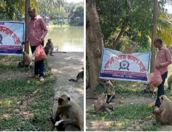 ক্ষুধার্ত হনুমানের মুখে খাবার তুলে দিলেন  শাপলা সমাজ কল্যাণ সংস্থার নেতৃবৃন্দ