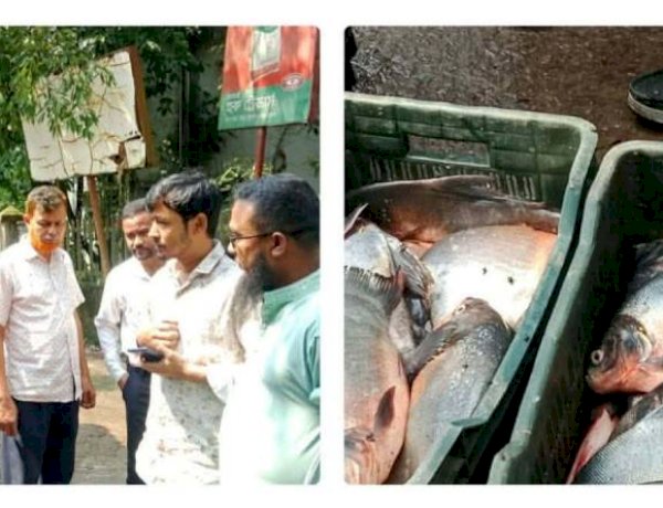 বৈষম্যহীন ও দুর্নীতিমুক্ত বাংলাদেশ গঠনে তরুণদের ঐক্যবদ্ধ হওয়ার আহ্বান হাসনাত আব্দুল্লাহর