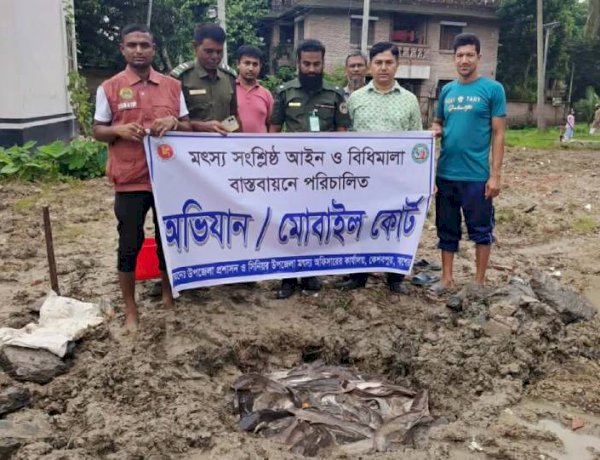কেশবপুরে নিষিদ্ধ আফ্রিকান মাগুর মাছ  চাষ করার অপরাধে এক ব্যক্তির জরিমানা