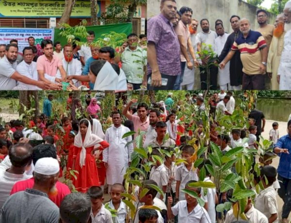 বন্ধু সেবা সংগঠনের উদ্যোগে বিভিন্ন শিক্ষা প্রতিষ্ঠানে খেলার সামগ্রী বিতরণ ও বৃক্ষরোপণ  কর্মসূচি