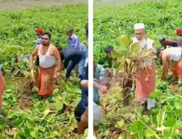 কেশবপুরে নিজহাতে কচুরিপানা অপসারণ  করলেন এমপি মোক্তার আলী