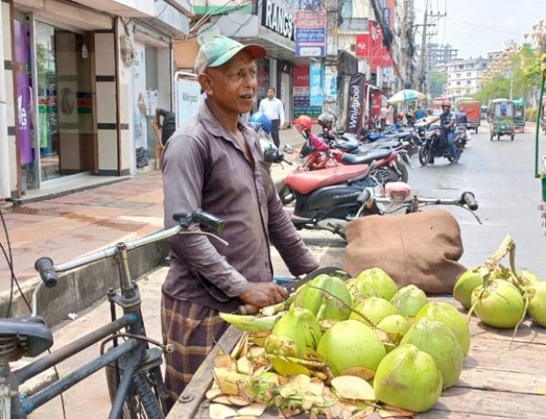 প্রচন্ড গরমে ডাবের পানি শরীর সতেজ রাখে
