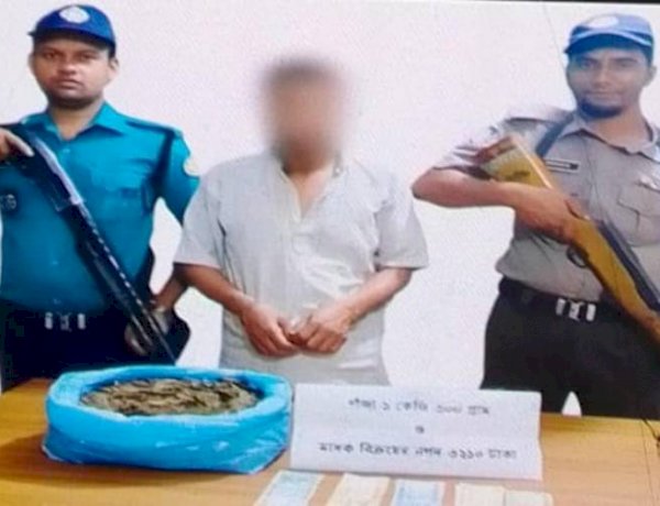 রাজশাহীতে গাঁজা সহ গ্রেপ্তার ১ জন
