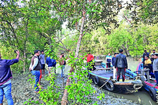 দস্যুমুক্ত নিরাপদ সুন্দরবনে এখন বাড়ছে পর্যটকের আনাগোনা। কয়েক বছরে আইনশৃঙ্খলা