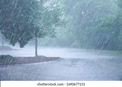 শীতকালীন বৃষ্টি