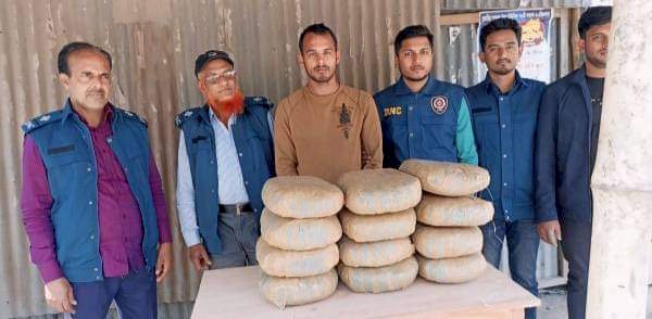 নড়াইলের নড়াগাতীতে মাদকদ্রব্য নিয়ন্ত্রণ অধিদপ্তর খুলনার অভিযানে ২৪ কেজি গাঁজাসহ গ্রেপ্তার ২