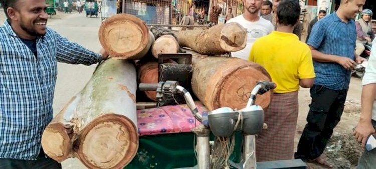 ঝিনাইগাতীতে এলজিইডি রাস্তার জব্দকৃত কাঠ নিয়ে নয়-ছয়