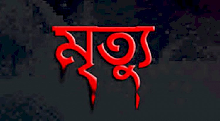 ঠাকুরগাঁওয়ে পানিতে ডুবে একই পরিবারের দুই শিশুর মৃত্যু