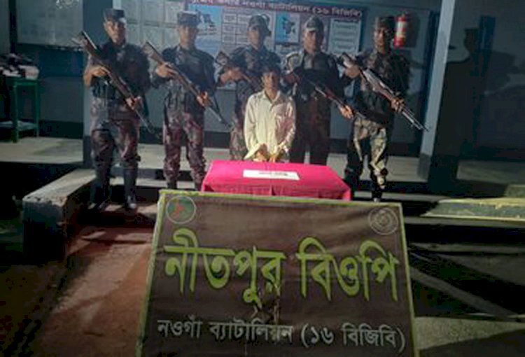 পোরশা সীমান্তে মাদক ব্যবসায়ী আটক