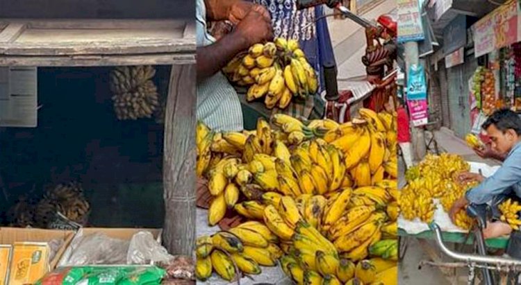 বুড়িচংয়ে কলা পাকাতে মেশানো হচ্ছে বিষাক্ত কেমিক্যাল