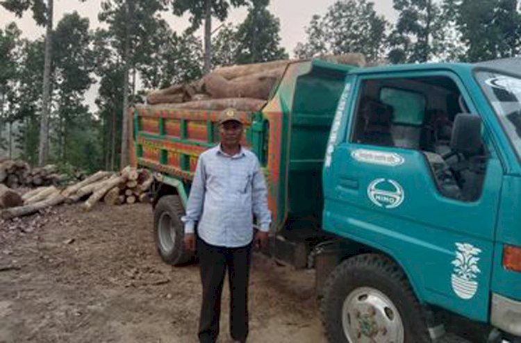 আবারও অবৈধ কাঠ জব্দ করল বাংলাদেশ সেনাবাহিনী