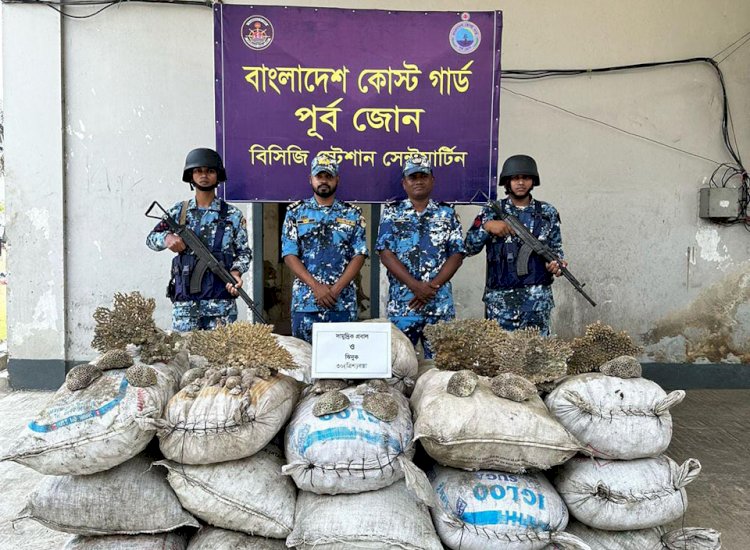 সেন্টমার্টিনে কোস্ট গার্ডের অভিযানে বিপুল পরিমাণ সামুদ্রিক প্রবাল ও ঝিনুক উদ্ধার