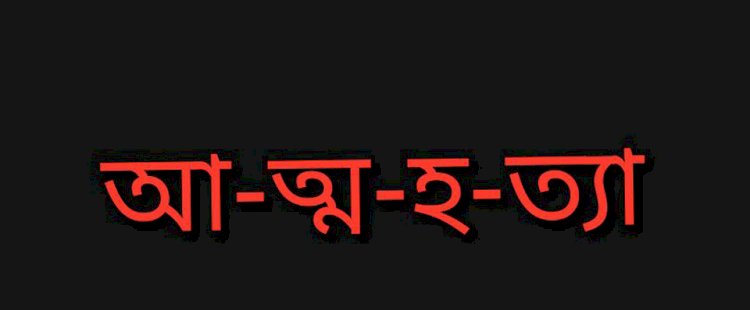 মনোহরদীতে ৩ মাসের অন্তঃসত্ত্বা গৃহবধূর আত্মহত্যা