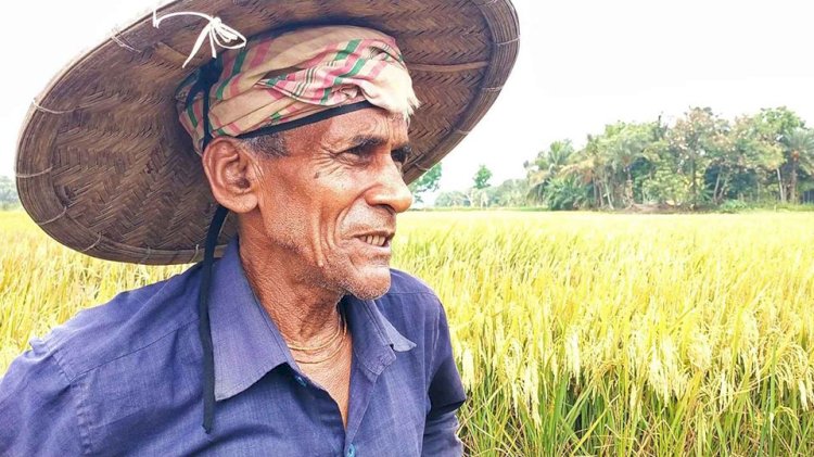নড়াইলে বৈশাখের তাপমাত্রা যেন কোনভাবেই কমছে না। এমন গরম জীবনে দেখি নাই