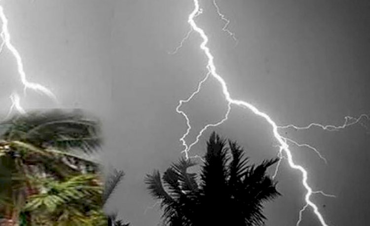 নওগাঁয় বজ্রপাতে বাবুল হোসেন নামে এক ধানকাটা শ্রমিকের মৃত্যু