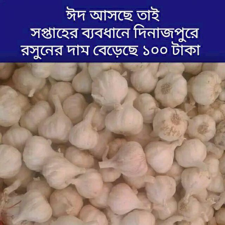 রসুনের বাজার নিয়ে হতাশ সাধারণ ব্যাবসায়ীরা!