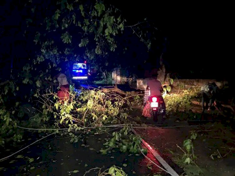 ঝড়ের তান্ডবে দিনাজপুরে বিভিন্ন এলাকায় বিদ্যুৎ বিপর্যয়!