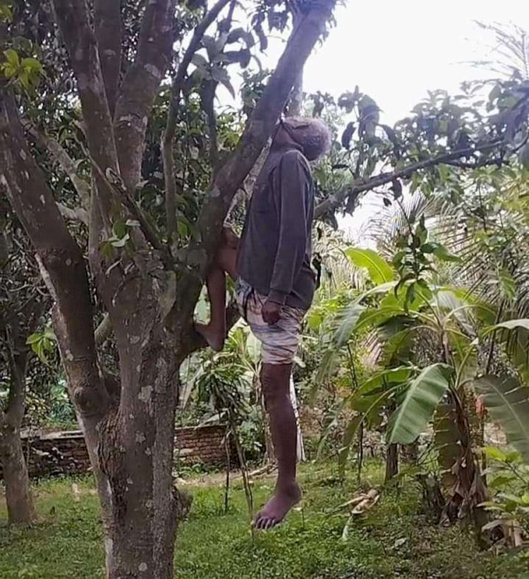 নওগাঁয় এছাহাক নামে এক   বৃদ্ধের ঝুলন্ত লাশ উদ্ধার