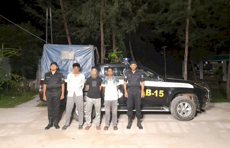 টেকনাফে র‌্যাবের অভিযানে ৩৩ হাজার ইয়াবাসহ আটক-৩