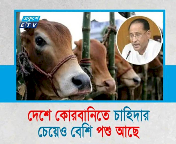 কোরবানির গরুর হাট কাঁপাবে ‘দিনাজপুরের রাজা