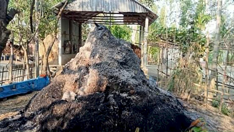 গোবিন্দগঞ্জে পারিবারিক শত্রুতার জের ধরে বসত বাড়ী ভাংচুর, গৃহবধুকে মারপিট, শ্লীলতাহানি ও স্বর্নের চেইন ছিনতাই এর অভিযোগ