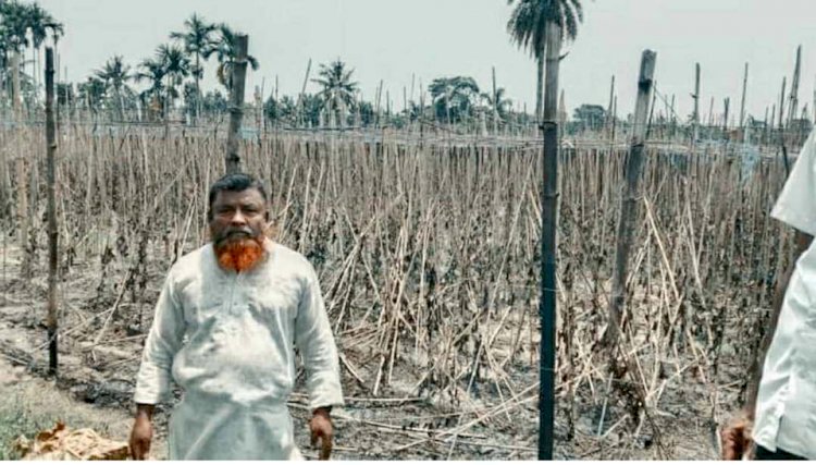 কেশবপুরে দু'টি পানের বরজ আগুনে  পুড়ে ছাই/ক্ষতি ২৫ লাখ টাকা